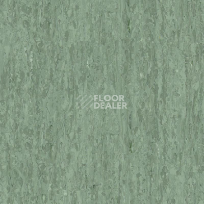 Линолеум Tarkett iq Optima Dark Green 0252 фото 1 | FLOORDEALER
